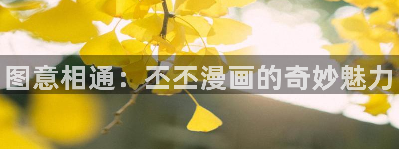 高等灵魂奇漫屋：图意相通：丕丕漫画的奇妙魅力