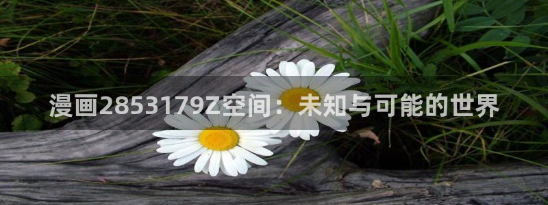 奇漫屋漫画免费看：漫画2853179Z空间：未知与可能的世界