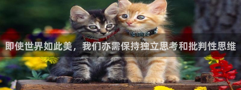 奇漫屋漫画免费：即使世界如此美，我们亦需保持独立思考和批判性思维