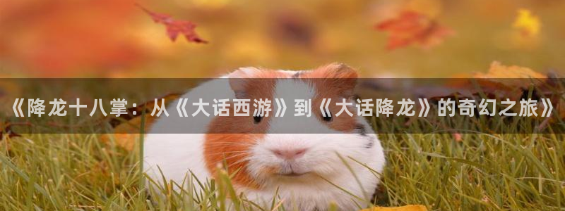 高等灵魂奇漫屋：《降龙十八掌：从《大话西游》到《大话降龙》的奇幻之旅》
